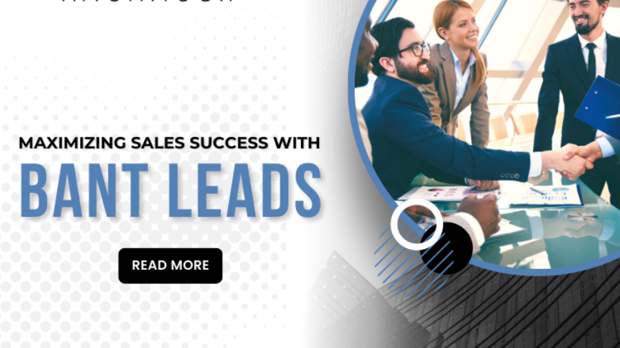 Maximizing Sales Success with BANT Leads