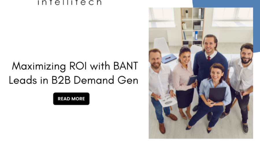 Maximizing ROI with BANT Leads in B2B Demand Gen