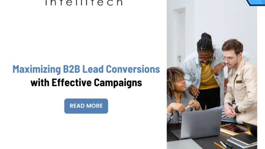 Maximizing B2B Lead Conversions with Effective Campaigns