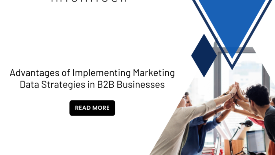 Advantages of Implementing Marketing Data Strategies in B2B Businesses